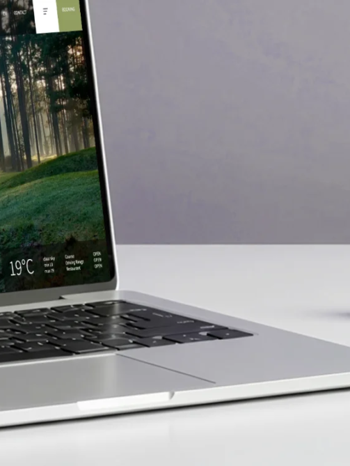 Web Design for Viesturi Golf